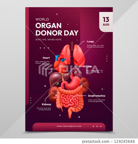 Realistic Anatomy and Physiology Realistic Poster Set 129285688