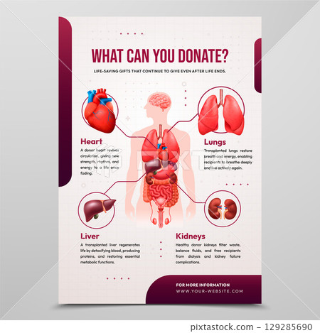 Realistic Anatomic Illustration of the Circulatory System Poster 129285690