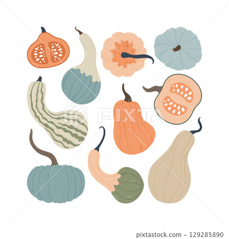 Colorful hand drawn pumpkins and gourds collection 129285890