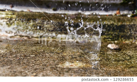水坑 129286655