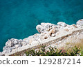 Stunning view of Calella de Palafrugell's pristine coastline featuring traditional whitewashed Mediterranean architecture, crystal-clear turquoise waters, and dramatic rocky outcrops along Costa Brava 129287214