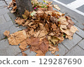 Fallen leaves piled up on the roadside 129287690