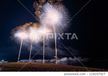 新潟縣：祇園柏崎祭海上煙火大會 129287927