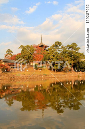 Sarusawa Pond Autumn Leaves 129287962