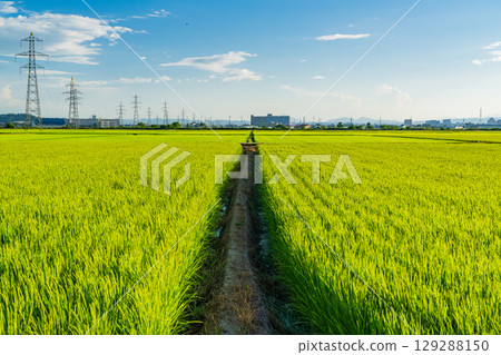 <新潟縣>鄉村風景中的輸電線 <新潟縣>鄉村風景中的輸電線 129288150