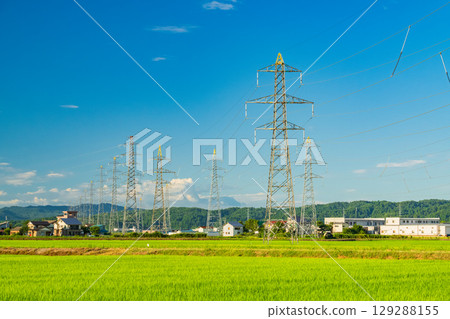 <Niigata Prefecture> Power lines in a rural landscape 129288155