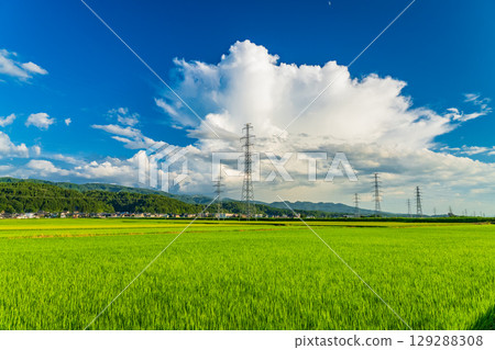 <<Niigata Prefecture>> Summer rural landscape: Nagaoka land 129288308