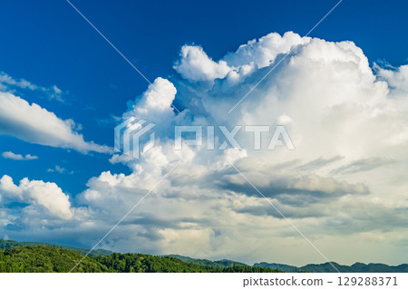 《新潟縣》夏日田園風光:長岡大地 《新潟縣》夏日田園風光:長岡大地 129288371