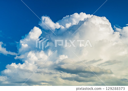 《新潟縣》夏日田園風光：長岡大地 129288373