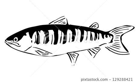 簡單的鮭魚插圖 129288421