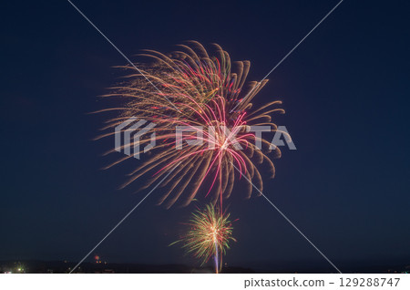 Large flowers blooming in the summer night sky Large flowers blooming in the summer night sky 129288747