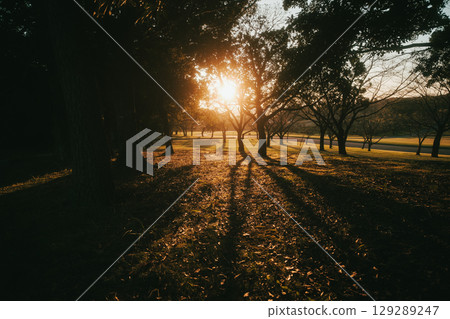 Autumn park as the sun sets Autumn park as the sun sets 129289247