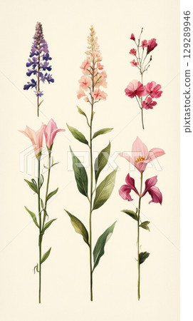 A vintage inspired herbarium illustration of six wildflowers, including Queen Anne Lace, Goldenrod and Trillium, delicately isolated on an old paper background, showcasing oft pastel tones 129289946