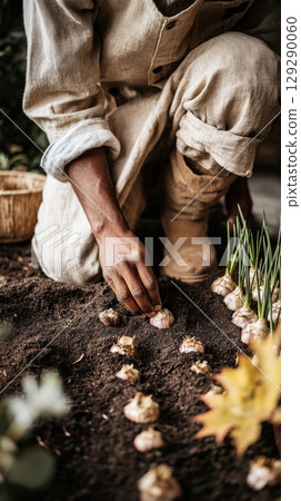 A gardener diligently places bulbs into prepared soil while embracing the autumn ambience. Vibrant yellow leaves decorate the ground, signaling the fall season's arrival 129290060