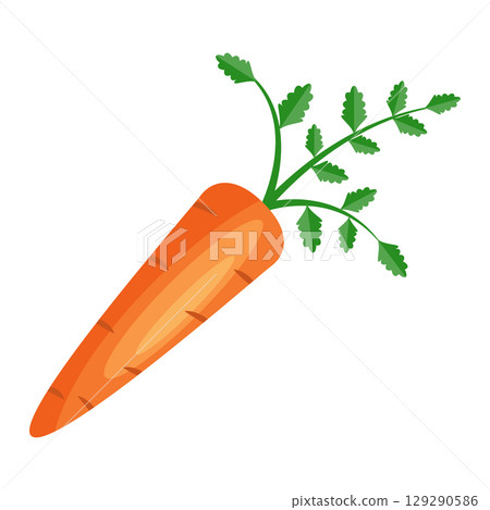 Cartoon Carrot with Leaves Vector Illustration. A fresh carrot with green leafy tops. The carrot is drawn in a flat cartoon style with smooth orange gradients and detailed textures Cartoon Carrot with Leaves Vector Illustration. A fresh carrot with green leafy tops. The carrot is drawn in a flat cartoon style with smooth orange gradients and detailed textures 129290586