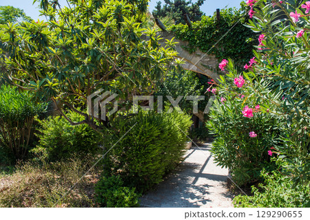 Medieval garden on the territory of the old town of Rhodes. Cypresses, shrubs, rhododendra, lemon trees, wildflowers 129290655
