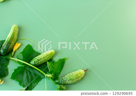 Crispy green cucumbers and leaves create a contrasting composition Crispy green cucumbers and leaves create a contrasting composition 129290695
