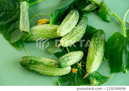 Vegetable composition cucumbers branches and flowers for culinary advertising Vegetable composition cucumbers branches and flowers for culinary advertising 129290696