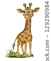 Playful giraffe illustration in vibrant watercolor style with a whimsical expression 129290984