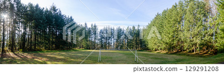 Football training ground surrounded by pine trees Football training ground surrounded by pine trees 129291208