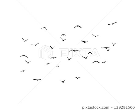 Flying birds silhouette flock. hand drawing. Not AI. Vector illustration Flying birds silhouette flock. hand drawing. Not AI. Vector illustration 129291500