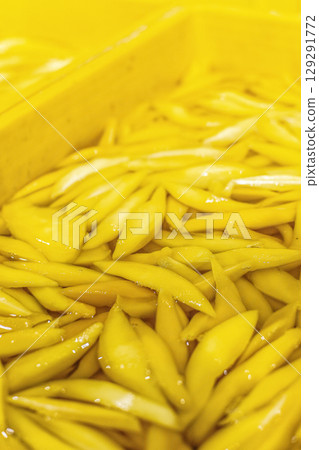 peeled mango fruit processing at food production factory in cambodia peeled mango fruit processing at food production factory in cambodia 129291772