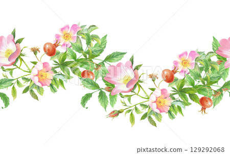 Seamless border of rosehip. Handmade watercolor art work. For packaging design, cards, cover, prints, product labels and fabric. 129292068