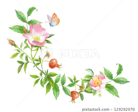 Wreath of rosehip. Handmade watercolor art work. For packaging design, cards, cover, prints, product labels and fabric. 129292070