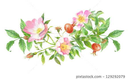 Banner of rosehip. Handmade watercolor art work. For packaging design, cards, cover, prints, product labels and fabric. 129292079
