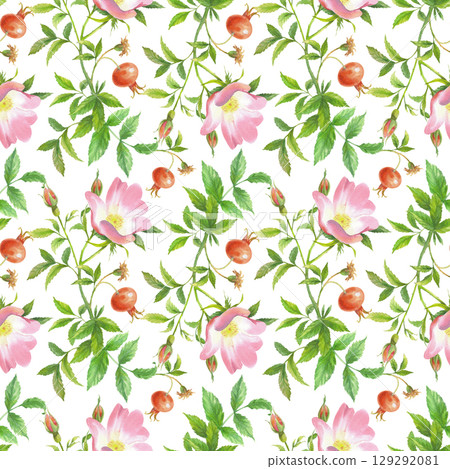 Seamless pattern of rosehip. Handmade watercolor art work. For packaging design, cards, cover, prints, product labels and fabric. 129292081