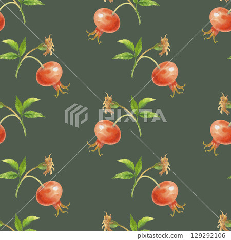 Seamless pattern of rosehip. Handmade watercolor art work. For packaging design, cards, cover, prints, product labels and fabric. 129292106