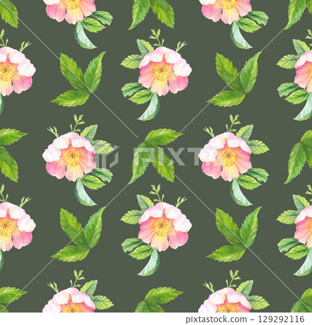 Seamless pattern of rosehip. Handmade watercolor art work. For packaging design, cards, cover, prints, product labels and fabric. Seamless pattern of rosehip. Handmade watercolor art work. For packaging design, cards, cover, prints, product labels and fabric. 129292116
