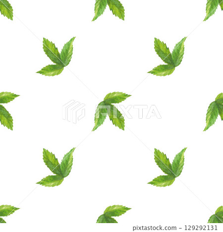 Seamless pattern of rosehip leaves. Handmade watercolor art work. For packaging design, cards, cover, prints, product labels and fabric. Seamless pattern of rosehip leaves. Handmade watercolor art work. For packaging design, cards, cover, prints, product labels and fabric. 129292131