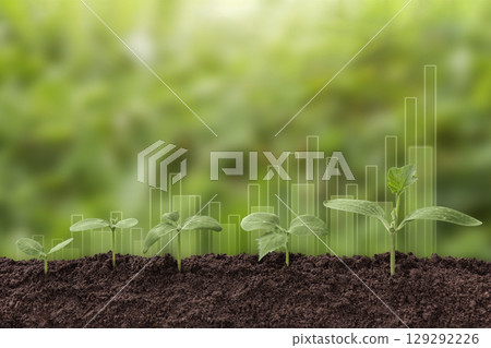 Plant growth evolution from seed to sapling. Young green seedling are growing from the rich soil in sunlight. Business growth, success, development and profit. Ecology and business concept. 129292226