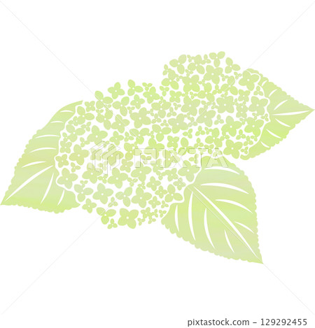 Beautiful watercolor pattern of hydrangea icon image illustration 129292455
