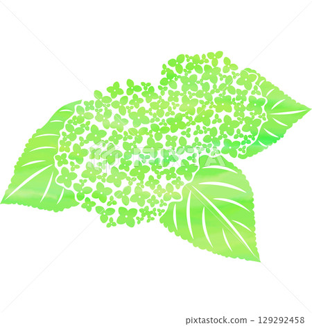 美麗的繡球花圖示圖像插圖的水彩圖案 129292458