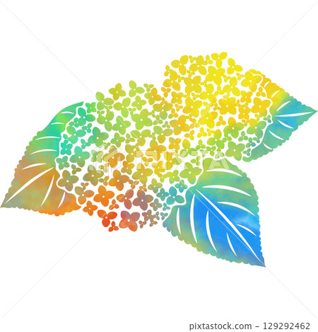 Beautiful watercolor pattern of hydrangea icon image illustration Beautiful watercolor pattern of hydrangea icon image illustration 129292462