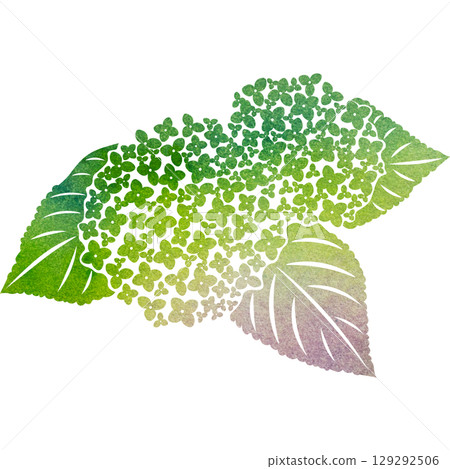 美麗的繡球花圖示圖像插圖的水彩圖案 129292506