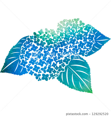 美麗的繡球花圖示圖像插圖的水彩圖案 美麗的繡球花圖示圖像插圖的水彩圖案 129292520