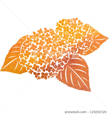 美麗的繡球花圖示圖像插圖的水彩圖案 美麗的繡球花圖示圖像插圖的水彩圖案 129292526