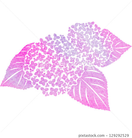 美麗的繡球花圖示圖像插圖的水彩圖案 129292529