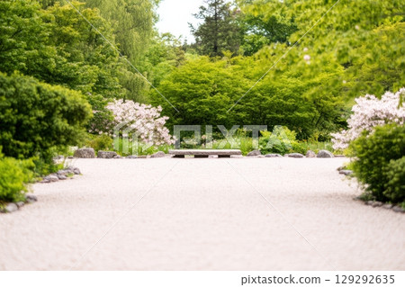 Beautiful garden pathway featuring vibrant greenery and blossoms in early spring 129292635