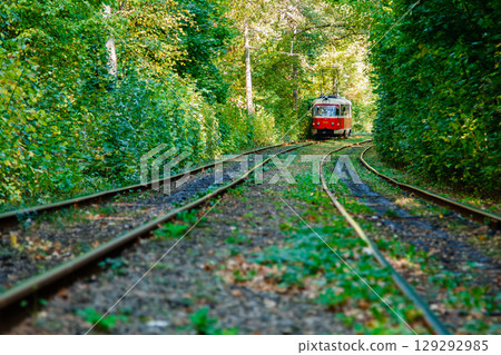 Tram and tram rails in colorful forest 129292985