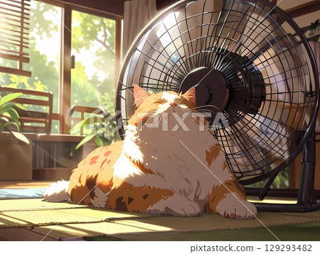 Calico cat cooling off in front of a fan 129293482