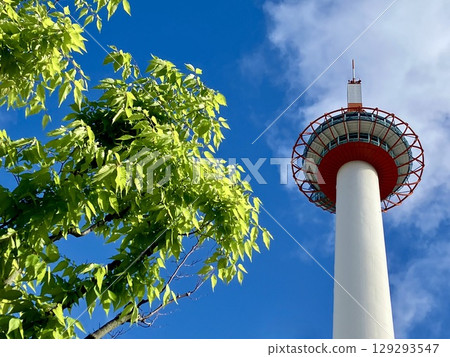 Kyoto Tower in summer 129293547