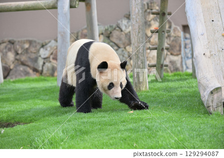 我在小濱找到了小吃 129294087