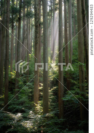 Midsummer mountain climbing scenery 129294483