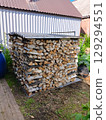 On a sunny summer day, preparing and storing firewood for the winter 129294551