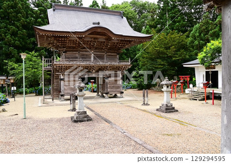 音羽山清水寺的繡球花盛開 129294595