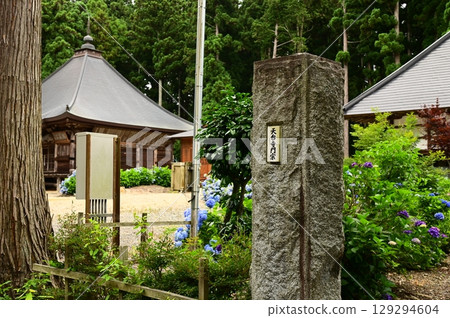音羽山清水寺的繡球花盛開 129294604
